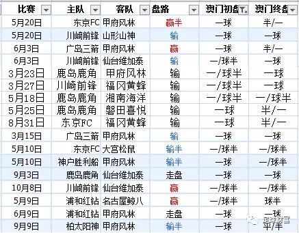 新澳内部资料精准一码波色表,新澳内部资料精准一码波色表，揭秘与探索