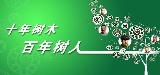 新奥长期免费资料大全三马,新奥长期免费资料大全三马深度解析与应用指南