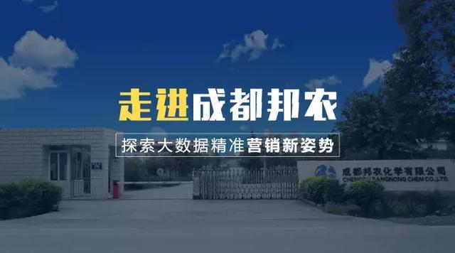 新奥门资料免费精准,新澳门资料免费精准，探索信息的真实性与价值